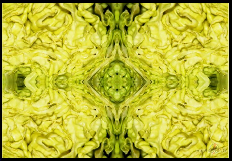 ��nas k�posta iek��j� dz�ve