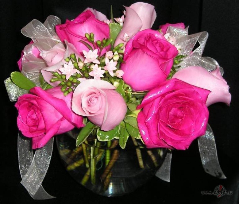 * L_I_R_I_C_A *  ...  DAUDZ_LAIMES_DZIMEN�T� !!!