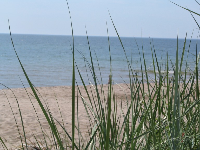 L�ri�es st�sts N.1.