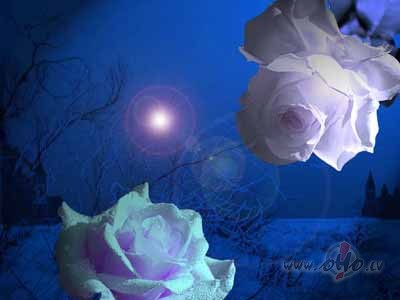 Pie sirds Tavu sirdi es klusi lik�uun l�g�os, lai pukst t� v�l ...