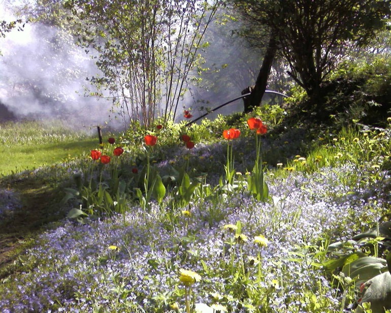 Sveiciens Dzimanas dien meitenei Just!