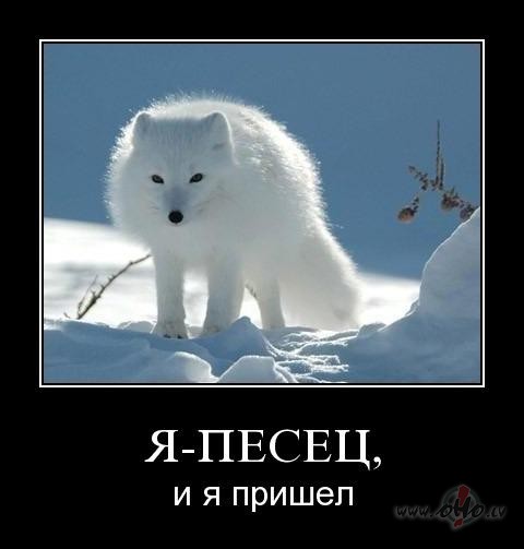 Ekspertus studija!!!