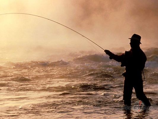 Saku laboties( pavisam nedaudz)