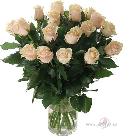 PELEEKS UN SLIDENS RIITS!