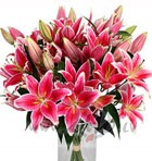 IELIEC VAAZEE - VAKARAA ATNAAKSI, VARBUUT BUUS PRIEKS!