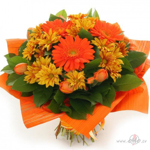 JA TU JUUTIES LABI - TAD IR LABI!