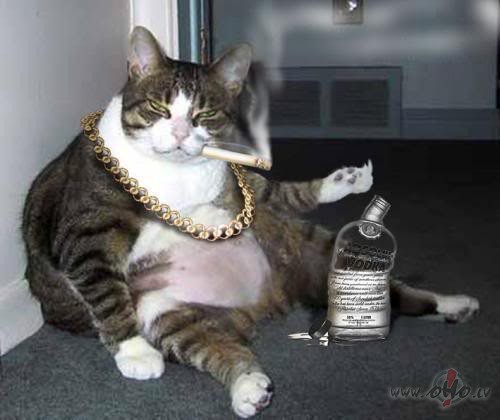 HI!!! Oho tauta ..Debra ievietojis foto bes bardas!!