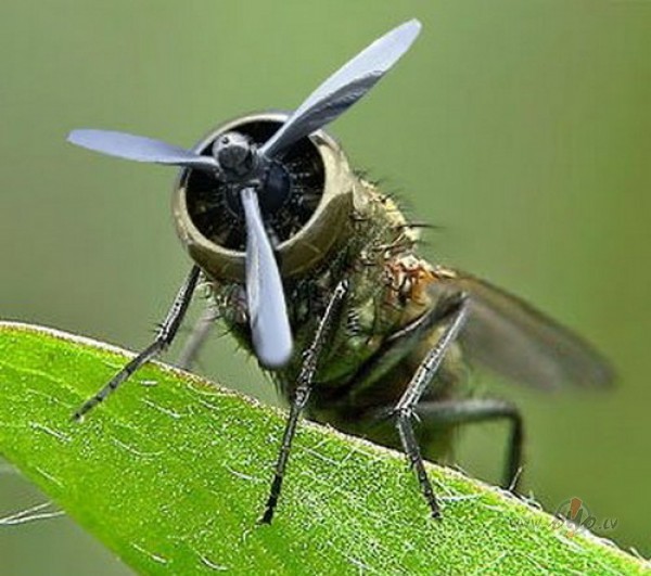 Arlabunakti :).........