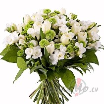 SAULIITE SPIID!  APSIEN SAULSTARINU - TU ESI VISSKAISTAAKAA!