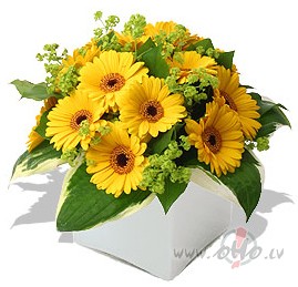 PELEEKS! ...BET LAI TEV PRIEKS!