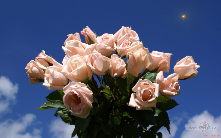 SAULIITE SPIID..... BET MAN JAADOMAA PAR TEVI!