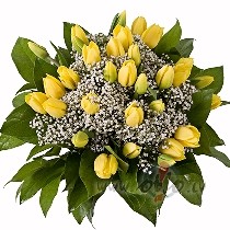 DRIIZ, JAU DRIIZ BUUS PAVASARIS!