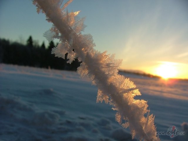&nbsp;&nbsp;&nbsp; Ak, tu ziema , ziemene, vienreiz izbeidz b�rst�t ...