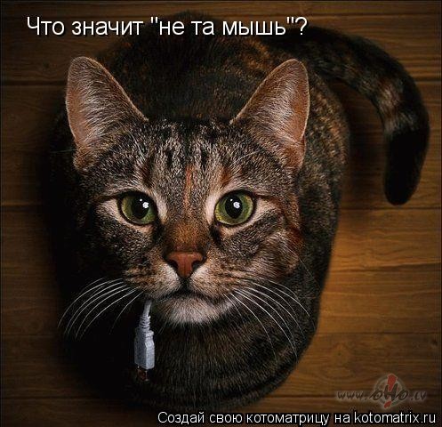 Tiem, kas veel nezin...
