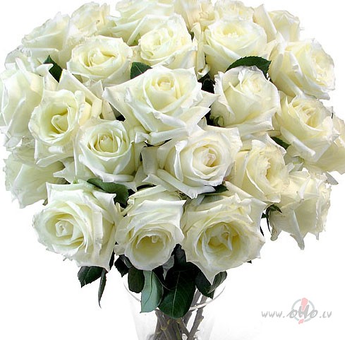 SKAISTU&nbsp; DIENU JUMS, DAAMAS!