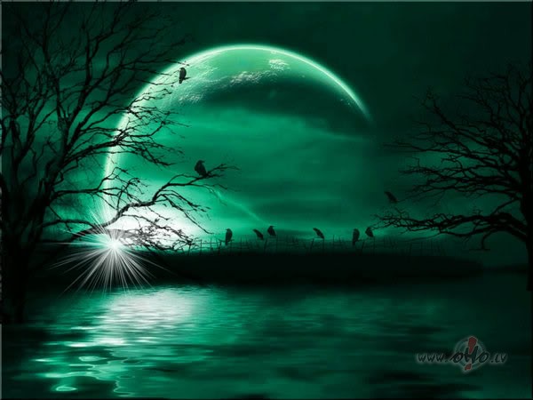 AR_LABU ... **B_R_U_C_E__S_P_R_I_N_G_S_T_E_E_N** ...