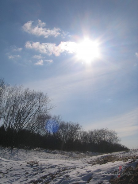 BURVIIGAIS PAVASARIS...