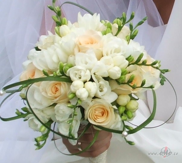 CIK JAUKI UN SKAISTI!