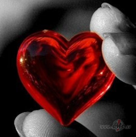 VNK. skaisti !!!!!!!!!