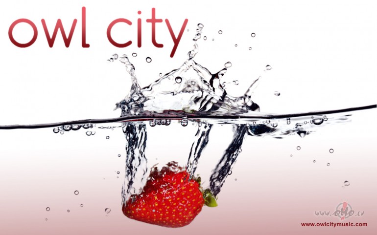 O_W_L__C_I_T_Y