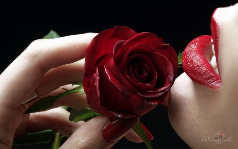 AR_LABU_NAKTI  ...  ** C_H_R_I_S__N_O_R_M_A_N** ...