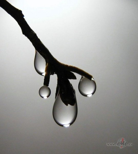 Labr�t, piektdien�:))