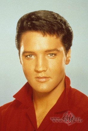 elvis presley