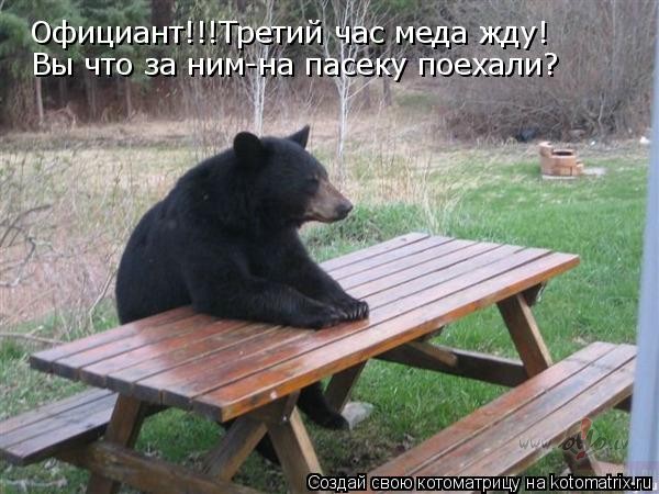 Zilani!...