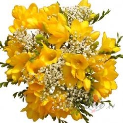 LAI JUMS SKAISTS 1. APRIILIS, DAAMAS!