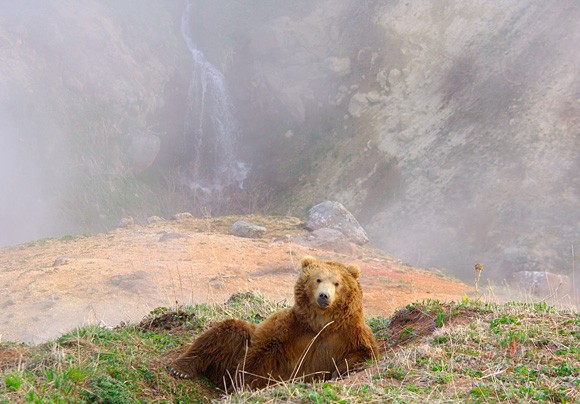L�cim gan nekas nekai� - gu� izlaidies :DDD