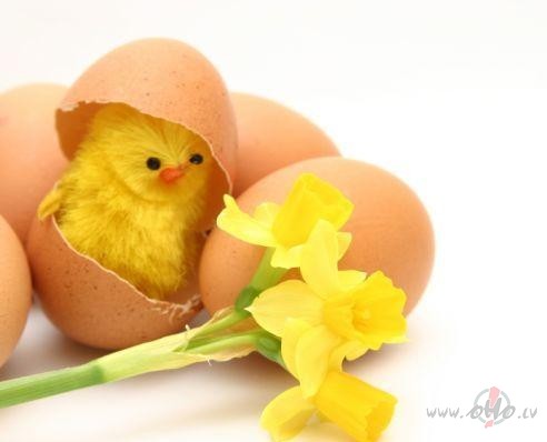 Lai katram tas, kas nepiecie�ams:sieviet�m - olas,v�rie�iem - ...