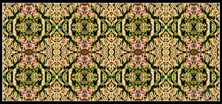 Neparastais parastaj�