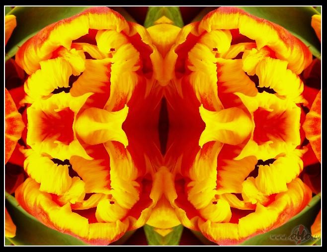 Ursi�na /turpin�jums/