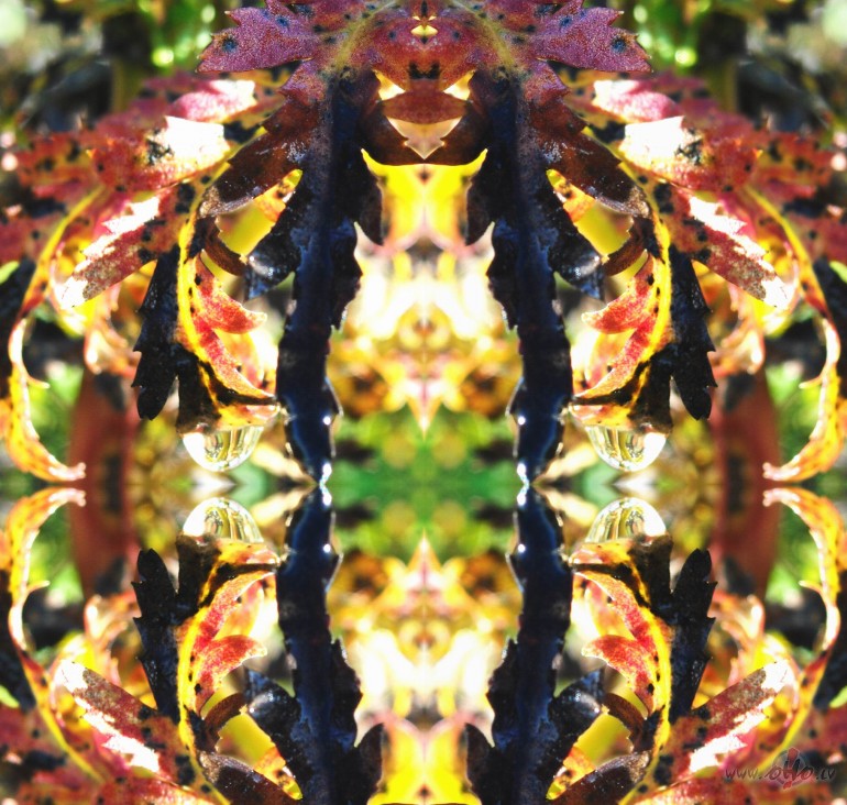 URSI�NA /2.turpin�jums/