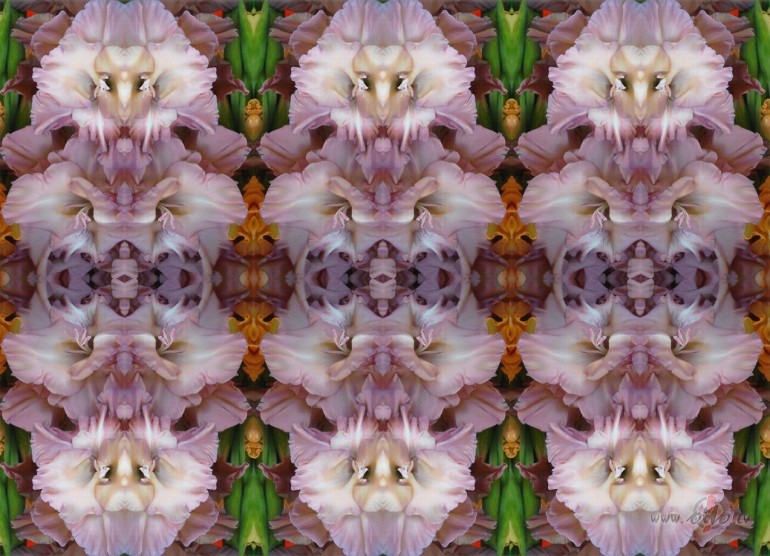 URSI�NA /3.turpin�jums/