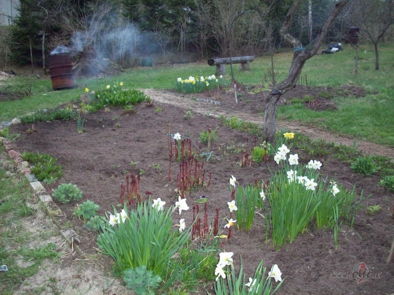 Mati smar�o p�c ugunskura d�miem,seja un rokas l�dz pleciem pat�kami ...