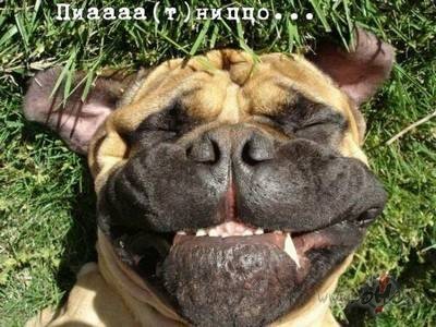 ...nu kam gan negad�s!!! :) :) :)