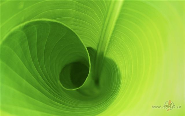 Labr�t, tautie�i!