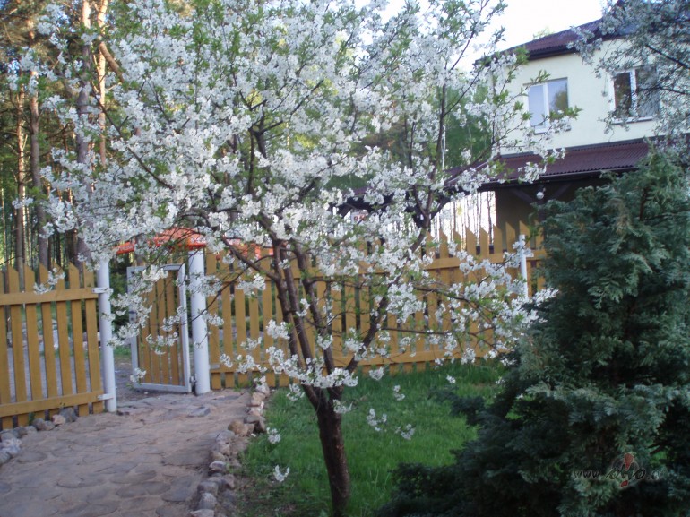 Sveiciens visiem maniem majiem draugiem no DZ.DZ... ((:***