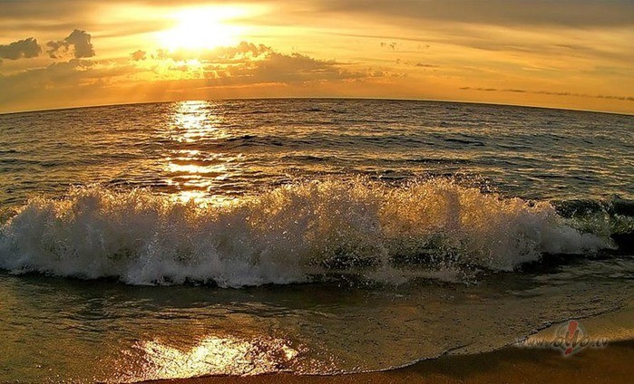 Reizi pa reizeiuzzied k�ds zieds,kas tikai retumiszied�t prot! reizi ...