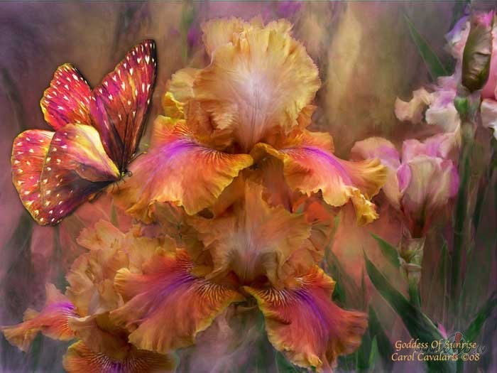 Iem�ci man sap�ot klusi,t� k� ziedi�i to protnesabaidot ...