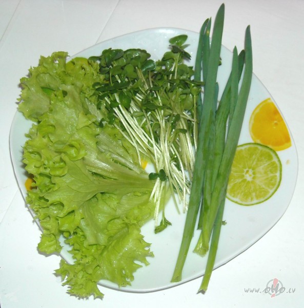 Ra�a /viena porcija vakari��m/