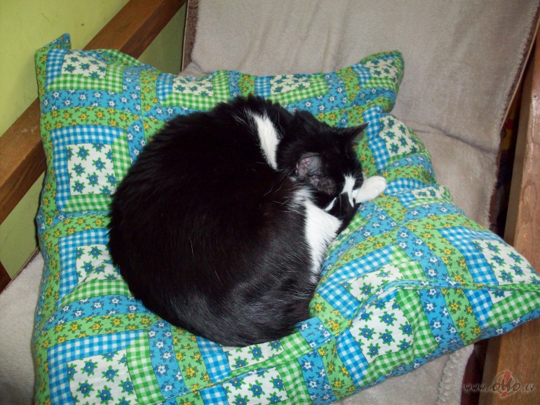 V�s�s nakt�s noder�gs esot dz�vs sild�t�js.Bet kur to sild�t�ju ...