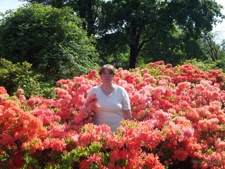 Jauki pavad�ta diena-biju skat�ties,k� Bot�niskaj� d�rz� zied ...