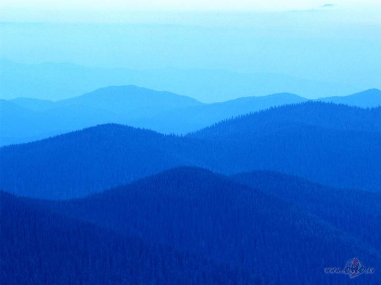 Agrajam putni�am visu dienu n�k miegs!/c/T� saka OHO un es ar�.�odien ...