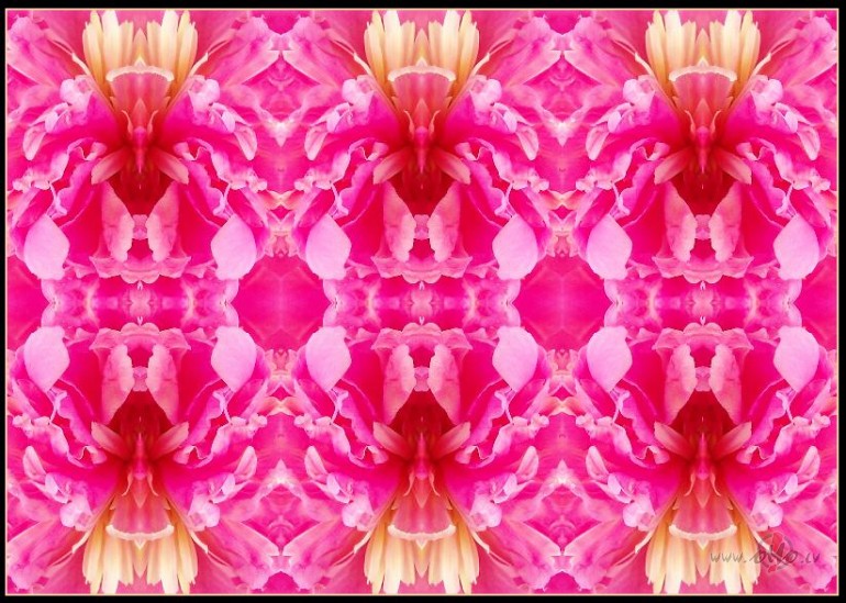 Nekas nav t�, k� izskat�s:)