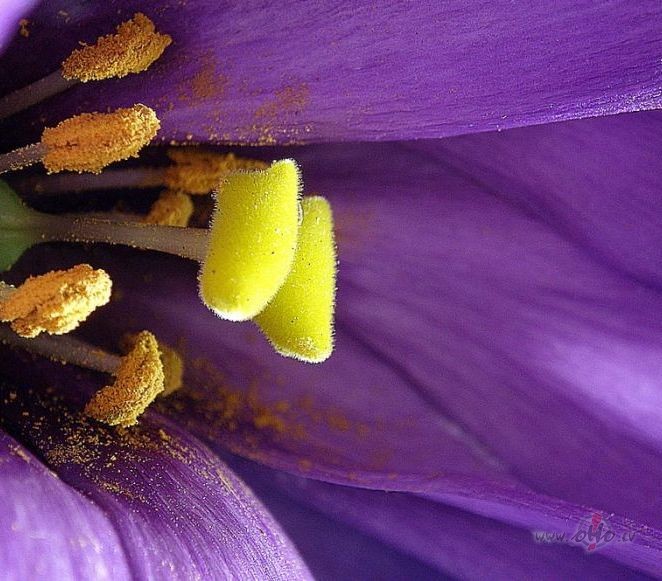 :)) sveicin�ti super�gie:))