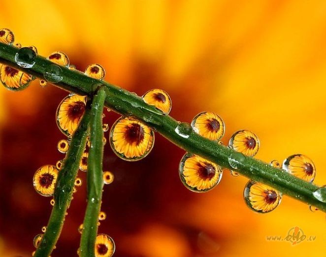 lietus aizskalo pl�nus:((