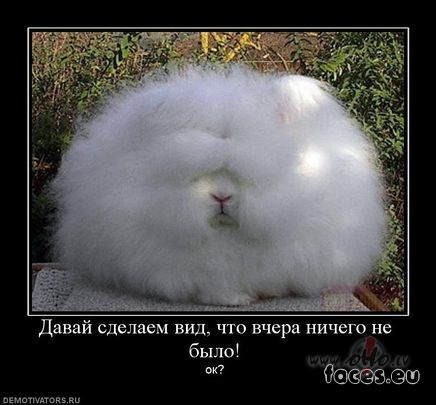 Man patika �� bild�te :) Dz�vnieks var�tu b�t cits, bet bild�te laba ...