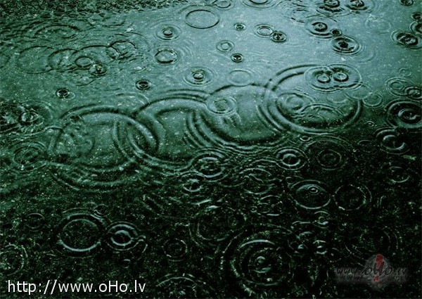 Labr�t, roz� brill�s...